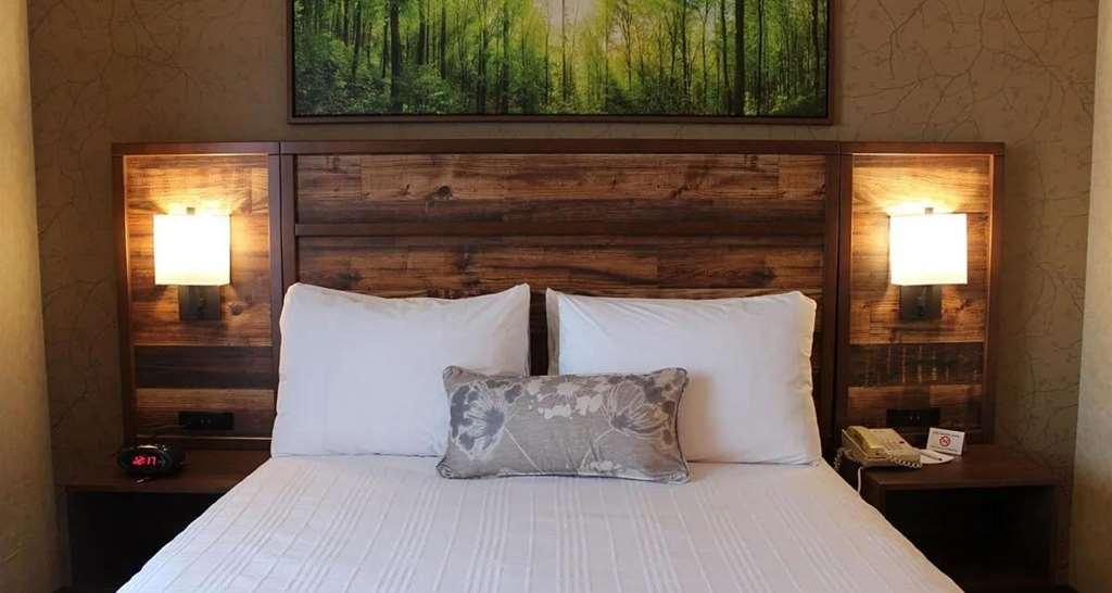 Best Western Plus Valemount Inn & Suites Room photo